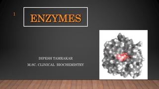ENZYMES
DIPESH TAMRAKAR
M.SC. CLINICAL BIOCHEMISTRY
1
 