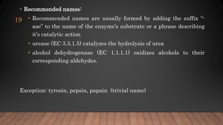 • Recommended names:
• Recommended names are usually formed by adding the suffix “-
ase” to the name of the enzyme’s substrate or a phrase describing
it’s catalytic action
• urease (EC 3.5.1.5) catalyzes the hydrolysis of urea
• alcohol dehydrogenase (EC 1.1.1.1) oxidizes alcohols to their
corresponding aldehydes.
Exception: tyrosin, pepsin, papain (trivial name)
19
 