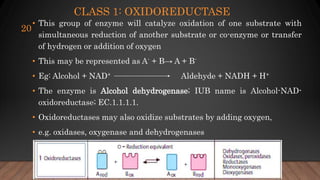 CLASS 1: OXIDOREDUCTASE
• This group of enzyme will catalyze oxidation of one substrate with
simultaneous reduction of another substrate or co-enzyme or transfer
of hydrogen or addition of oxygen
• This may be represented as A- + B→ A + B-
• Eg: Alcohol + NAD+ Aldehyde + NADH + H+
• The enzyme is Alcohol dehydrogenase; IUB name is Alcohol-NAD-
oxidoreductase; EC.1.1.1.1.
• Oxidoreductases may also oxidize substrates by adding oxygen,
• e.g. oxidases, oxygenase and dehydrogenases
20
 