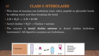 CLASS 3: HYDROLASES
• This class of enzymes can hydrolyze ester, ether, peptide or glycosidic bonds
by adding water and then breaking the bond.
• A-B + H2O → A-H + B-OH
• Acetyl choline + H2O → Choline + acetate
• The enzyme is Acetyl choline esterase or Acetyl choline hydrolase
(systematic). All digestive enzymes are hydrolases.
22
 