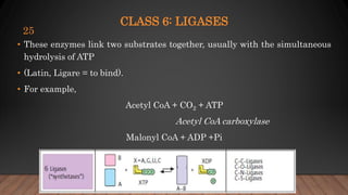 CLASS 6: LIGASES
• These enzymes link two substrates together, usually with the simultaneous
hydrolysis of ATP
• (Latin, Ligare = to bind).
• For example,
Acetyl CoA + CO2 + ATP
Acetyl CoA carboxylase
Malonyl CoA + ADP +Pi
25
 