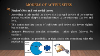 MODELS OF ACTIVE SITES
• Fischer’s Key and lock model theory
• According to this model the active site is a rigid portion of the enzyme
molecule and its shape is complementary to the substrate like key and
lock.
• The complimentary shape of substrate and active site favors tightly
bound enzyme.
• Enzyme Substrate complex formation takes place followed by
catalysis
It cannot explain the possibility of rigid active site combining with the
product to form substrate in reversible reaction
29
 