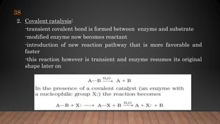 2. Covalent catalysis:
-transient covalent bond is formed between enzyme and substrate
-modified enzyme now becomes reactant
-introduction of new reaction pathway that is more favorable and
faster
-this reaction however is transient and enzyme resumes its original
shape later on
38
 