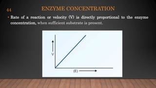 ENZYME CONCENTRATION
• Rate of a reaction or velocity (V) is directly proportional to the enzyme
concentration, when sufficient substrate is present.
44
 