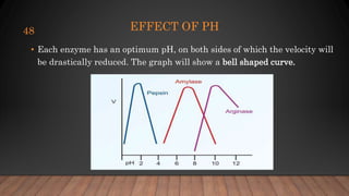 EFFECT OF PH
• Each enzyme has an optimum pH, on both sides of which the velocity will
be drastically reduced. The graph will show a bell shaped curve.
48
 