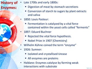 Enzymes | PPTX