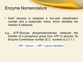 Enzymes