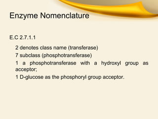 Enzymes