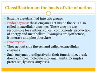 Classification on the basis of site of action
 Enzyme are classified into two groups
 Endoenzymes: these enzymes act inside the cells also
called intracellular enzymes. These enzyme are
responsible for synthesis of cell components, production
of energy and metabolism. Examples are synthetase,
isomerase and phosphorylase
 Exoenzyme:
 They act out side the cell and called extracellular
enzymes.
 Such enzymes are digestive in their function i.e. break
down complex molecule into small units. Examples
proteases, lypases, amylases.
 