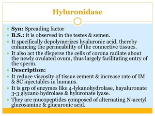 Hyluronidase
 Syn: Spreading factor
 B.S.: it is observed in the testes & semen.
 It specifically depolymerizes hyaluronic acid, thereby
enhancing the permeability of the connective tissues.
 It also act the disperse the cells of corona radiate about
the newly ovulated ovum, thus largely facilitating entry of
the sperm.
 Description:
 It reduce viscosity of tissue cement & increase rate of IM
& SC injectables in humans.
 It is grp of enzymes like 4-lykanohydrolase, hayaluronate
3-3 glycano hydrolase & hyluronate lyase.
 They are mucopeptides composed of alternating N-acetyl
glucosamine & glucuronic acid.
 