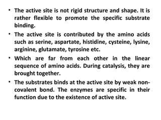 Enzymes | PPT
