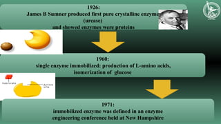 IMMOBILIZATION OF ENZYMES | PPT
