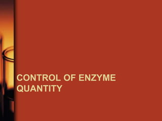CONTROL OF ENZYME
QUANTITY
 