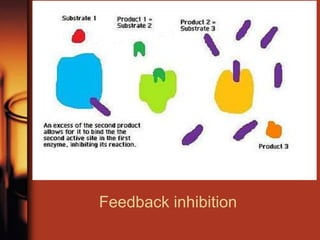 Feedback inhibition
 