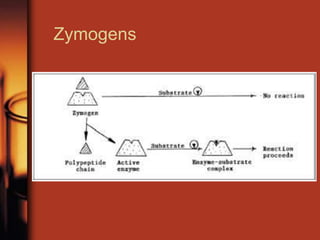 Zymogens
 