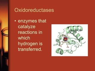 Oxidoreductases
• enzymes that
catalyze
reactions in
which
hydrogen is
transferred.
 