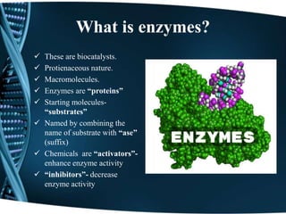 What is enzymes?
 These are biocatalysts.
 Protienaceous nature.
 Macromolecules.
 Enzymes are “proteins”
 Starting molecules-
“substrates”
 Named by combining the
name of substrate with “ase”
(suffix)
 Chemicals are “activators”-
enhance enzyme activity
 “inhibitors”- decrease
enzyme activity
 