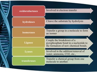 • Involved in electron transferoxidoreductases
• Cleave the substrate by hydrolysishydrolases
• Transfer a group in a molecule to form
an isomerisomerases
• Couple the breakdown of a
pyrophosphate bond in a nucleotide to
the formation of new chemical bonds.
Ligases
• Involved in the addition/removal of
water, ammonia, CO2, etc.,
Lyases
• Transfer a chenical group from one
molecule to another.transferases
 