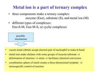 Metal ion is a part of ternary complex three components make a ternary complex:  enzyme (Enz), substrate (S), and metal ion (M) different types of complexes:  Enz-S-M, Enz-M-S, or cyclic complexes vacant metal orbitals accept electron pair of nucleophil to make   -bond metal ions make chelates with some groups of enzyme/substrate    deformation of structure    strain    facilitates chemical conversion coordination sphere of metal creates a three-dimensional template    stereospecific control of reaction possible   mechanism 