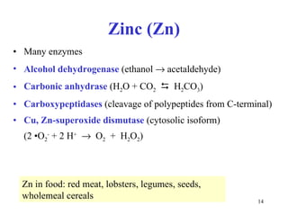 Zinc (Zn) Many enzymes Alcohol dehydrogenase  (ethanol    acetaldehyd e) Carbonic anhydrase  (H 2 O + CO 2      H 2 CO 3 ) Carboxypeptidases  (cleavage of polypeptides from C-terminal) Cu, Zn-superoxide dismutase  (cytosolic isoform)  (2 •O 2 -  + 2 H +      O 2   +  H 2 O 2 ) Zn in food: red meat, lobsters, legumes, seeds, wholemeal cereals 