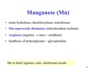 Manganese (Mn) some hydrolases, decarboxylases, transferases Mn-s uperoxide dismutase  (mitochondrial isoform) Arginase  (arginine    urea + ornithine) Synthesis of proteoglycans + glycoproteins Mn in food: legumes, nuts, wholemeal cereals 