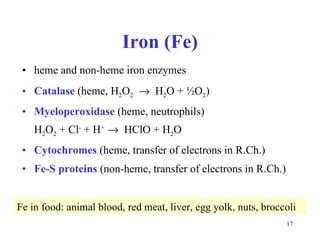 Iron (Fe) heme and non-heme iron enzymes  Catalase  (heme, H 2 O 2      H 2 O +  ½ O 2 ) Myeloperoxidase  (heme, neutrophils)  H 2 O 2  + Cl -  + H +     HClO  +  H 2 O Cytochrom es   ( hem e, transfer of electrons in R.Ch.) Fe-S proteins  (non-heme, transfer of electrons in R.Ch.) Fe in food: animal blood, red meat, liver, egg yolk, nuts, broccoli 