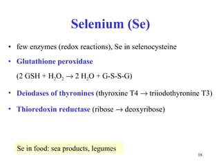 Selenium (Se) few enzymes (redox reactions) , Se  in  selenocystein e Glutathione peroxidase   (2 GSH + H 2 O 2     2 H 2 O + G-S-S-G) Deiodases of thyronines  (thyroxine T4    triiodothyronine T3) Thioredoxin reductase  (ribose    deoxyribose) Se in food: sea products, legumes 