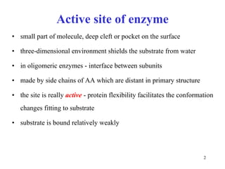 Active site of enzyme small part of molecule, deep cleft or pocket on the surface  three-dimensional environment shields the substrate from water in oligomeric enzymes - interface between subunits made by side chains of AA which are distant in primary structure the site is really  active  - protein flexibility facilitates the conformation changes fitting to substrate  substrate is bound relatively weakly 