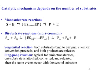 C atalytic   mechanism  depends on the number of  substr ates Monosubstr ate  rea ctions S + E     { ES.......EP }     P  +  E Bi substr ate reactions  ( more common ) S A   +  S B      { ES AB .......EP AB  }     P A   + P B  +  E Se quential reaction :  both  substr ates bind to  enzym e, chemical conversion proceeds, and both  produ cts are released Ping-pong   rea ction : typic al for  aminotransferas es ,  one  substr ate is attached, converted, and released,  then the same events occur with the second s ubstr ate 