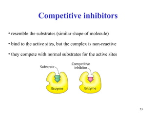 Competitive inhibitors resemble the substrates  (similar shape of molecule) bind to the active sites, but the complex is  non- reactive t hey compete with normal substrates for the active sites 