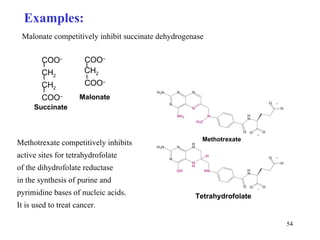 Malonate competitively inhibit succinate dehydrogenase Examples: Methotrexate competitively inhibits active sites for tetrahydrofolate of the dihydrofolate reductase in the synthesis of purine and pyrimidine bases of nucleic acids. It is used to treat cancer. Methotrexate Tetrahydrofolate Malonate Succinate COO – CH 2 CH 2 COO – COO – CH 2 COO – 