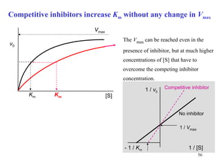 Competitive inhibitors increase  K m   without any change in  V max   The  V max  can be reached even in the presence of inhibitor, but at much higher concentrations of  [S] that have to overcome the competing inhibitor concentration. K m [S] v 0 V max K m 1 /  v 0 1 / [S] 1 /  V max - 1 /  K m No inhibitor Competitive inhibitor 