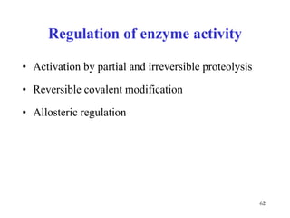 Regulation of enzyme activity Activation by partial and irreversible proteolysis  Reversible covalent modification Allosteric regulation 