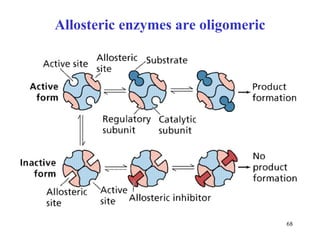 Allosteric enzymes are oligomeric 