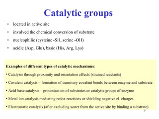 Catalytic groups  located in active site  involved the chemical conversion of substrate nucleophilic (cysteine -SH, serine -OH) acidic (Asp, Glu) ,  basic (His, Arg, Lys) Examples of   different types of catalytic mechanisms : Catalysis through proximity and orientation effects (strained reactants) Covalent catalysis – formation of transitory covalent bonds between  enzyme  and  substrate Acid-base catalysis – protonization of substrates or catalytic groups of  enzyme Metal ion catalysis mediating redox reactions or shielding negative el. charges Electrostatic catalysis (after excluding water from the active site by binding  a  substrate) 