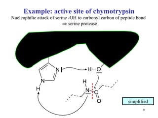 Example: active site of chymotrypsin Nucleophilic attack of serine -OH to carbonyl carbon of peptide bond      serine protease 195 57 simplified 