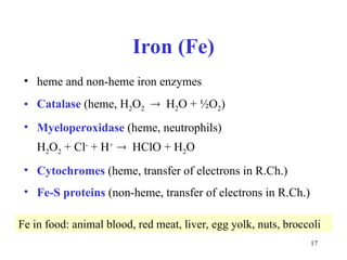 Mechanism of enzyme reaction, metalloenzymes, kinetics, activity ...