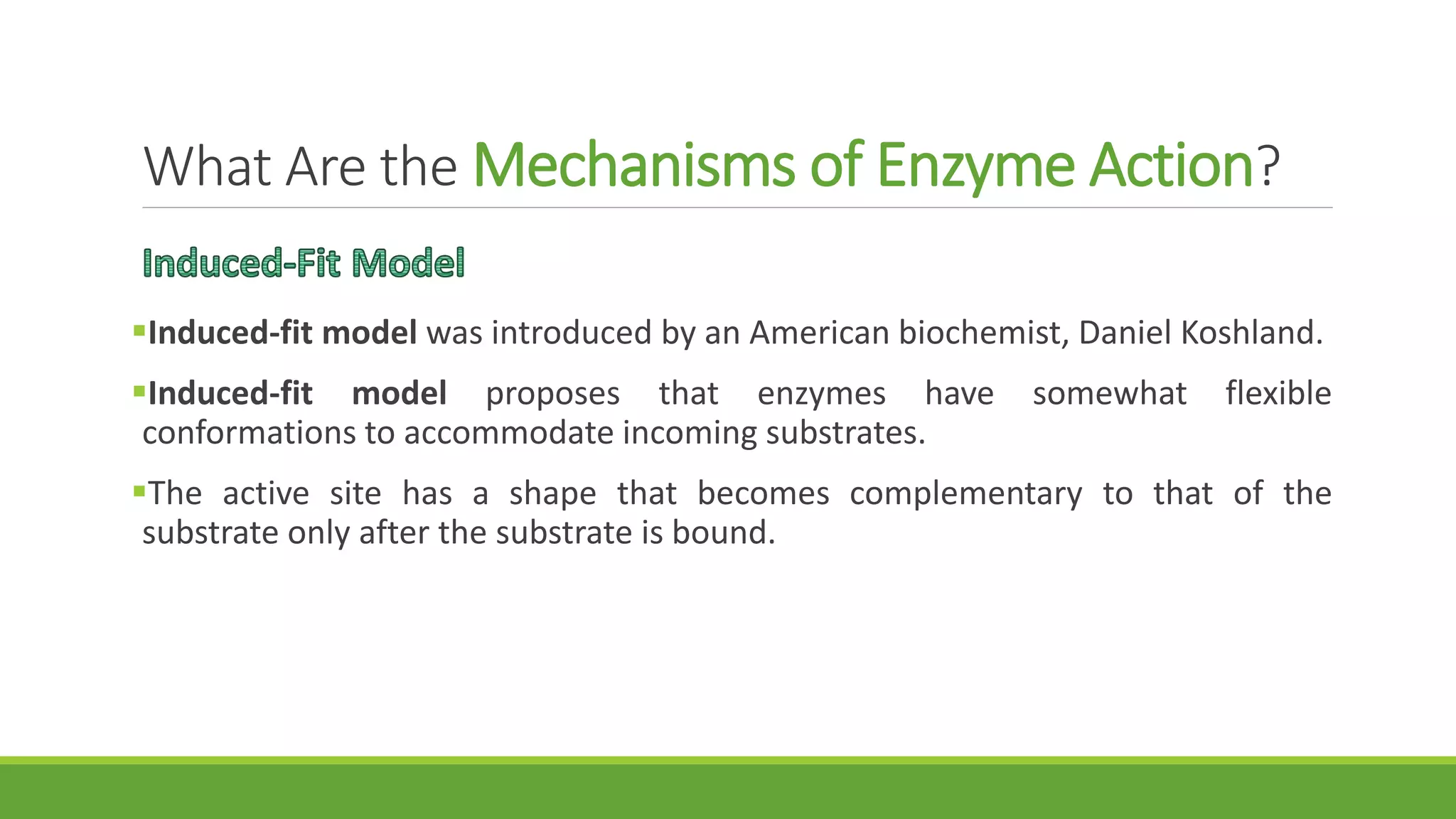 What Are the Mechanisms of Enzyme Action?
Induced-fit model was introduced by an American biochemist, Daniel Koshland.
Induced-fit model proposes that enzymes have somewhat flexible
conformations to accommodate incoming substrates.
The active site has a shape that becomes complementary to that of the
substrate only after the substrate is bound.
 