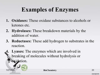 Examples of Enzymes
1. Oxidases: These oxidase substances to alcohols or
ketones etc.
2. Hydrolases: These breakdown materials by the
addition of water.
3. Reductases: These add hydrogen to substrates in the
reaction.
4. Lyases: The enzymes which are involved in
breaking of molecules without hydrolysis or
oxidation.
1/27/2020 23BioChemistry
 