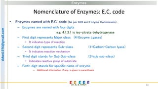 Enzymes | PPT