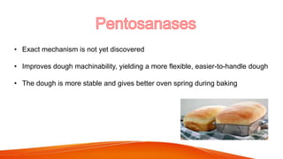 Image showcasing Application of enzymes in food industry | PPTX
