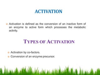 Enzymes | PPTX
