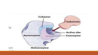 Enzymes complete | PPTX