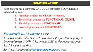 ENZYMES | PPTX