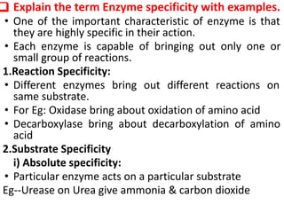 Absolute Specificity Example Enzymes | PDF