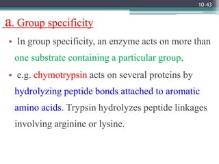 Group Specificity Example Enzymes | PPTX
