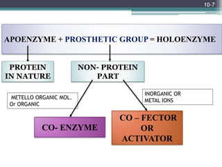Enzymes | PPTX
