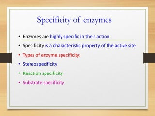 Enzymes.pptx