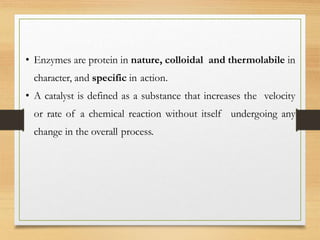 Enzymes.pptx
