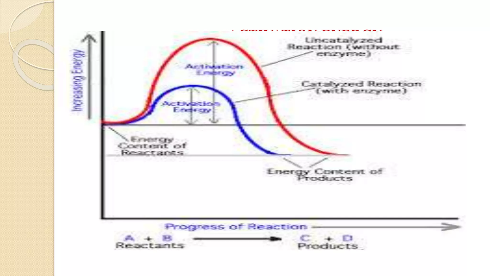 Enzymes- Overview | PDF